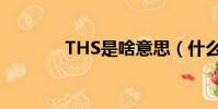 THS是啥意思(什么是THS)