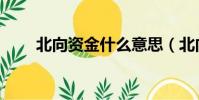 北向資金什么意思(北向資金解釋)