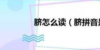 臍怎么讀(臍拼音是什么)