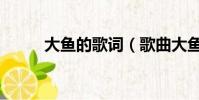 大魚的歌詞(歌曲大魚簡單介紹)