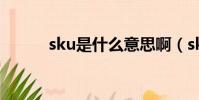 sku是什么意思啊(sku的含義)