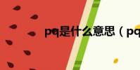 pq是什么意思(pq的解釋)