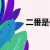二番是什么意思（二番的解釋）