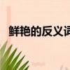 鮮艷的反義詞是什么（你知道這些詞語嗎）