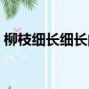 柳枝細長細長的像什么（大家一起來學習吧）