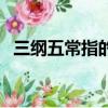 三綱五常指的是什么呢（三綱五常是什么）