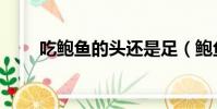 吃鮑魚的頭還是足(鮑魚太美味了)