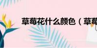 草莓花什么顏色(草莓花的顏色)