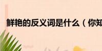 鮮艷的反義詞是什么(你知道這些詞語嗎)