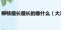 柳枝細長細長的像什么(大家一起來學習吧)