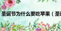 圣誕節為什么要吃蘋果(圣誕節吃蘋果原因)