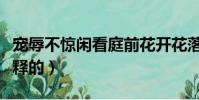 寵辱不驚閑看庭前花開花落的全詩(是怎么解釋的)