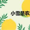 小雪是農歷幾月幾日（小雪的簡介）