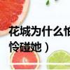 花城為什么怕謝憐碰她（花城是什么原因怕謝憐碰她）