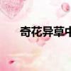 奇花異草中異的意思（奇花異草例句）