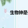 生物鐘是什么意思（生物鐘的含義）