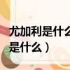 尤加利是什么有哪些品種（尤加利有什么品種是什么）