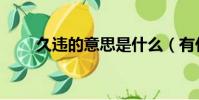 久違的意思是什么(有什么例句嗎)