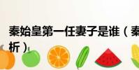 秦始皇第一任妻子是誰(秦始皇第一任妻子解析)