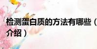 檢測蛋白質的方法有哪些(檢測蛋白質的方法介紹)
