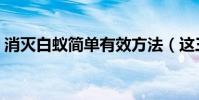消滅白蟻簡單有效方法(這三種方法很有效)