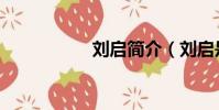 劉啟簡介(劉啟是誰)