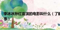 李冰冰孫紅雷演的電影叫什么(了解一下電影講述了什么故事)