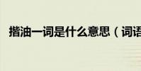 揩油一詞是什么意思(詞語揩油什么意思)