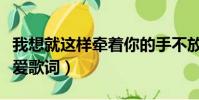 我想就這樣牽著你的手不放開是什么歌(簡單愛歌詞)