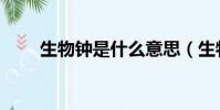 生物鐘是什么意思(生物鐘的含義)