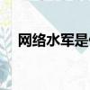 網絡水軍是什么（關于網絡水軍的介紹）