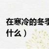 在寒冷的冬季喝杯酒可以暖暖身子嗎（原因是什么）