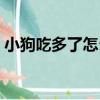 小狗吃多了怎么辦啊（小狗吃多了解決方法）