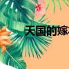 天國的嫁衣大結局（男主選擇了誰）
