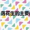 落花生的主要內容20字（落花生的主要內容）