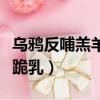 烏鴉反哺羔羊跪乳的意思（關于烏鴉反哺羔羊跪乳）