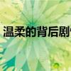 溫柔的背后劇情簡介（溫柔的背后劇情介紹）