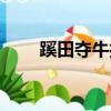 蹊田奪牛打一動物（蹊田奪牛謎底）