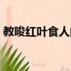 教唆紅葉食人的是誰（該人物的由來是什么）