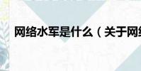 網絡水軍是什么(關于網絡水軍的介紹)