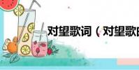 對望歌詞(對望歌曲介紹)