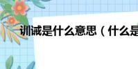訓誡是什么意思(什么是訓誡的意思)