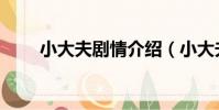 小大夫劇情介紹(小大夫劇情簡介)