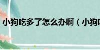 小狗吃多了怎么辦啊(小狗吃多了解決方法)