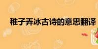 稚子弄冰古詩的意思翻譯(一起來了解)