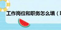 工作崗位和職務怎么填(職責都有什么)