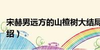 宋赫男遠方的山楂樹大結局(遠方的山楂樹介紹)