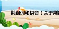 荊組詞和拼音(關于荊組詞和拼音)