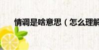 情調是啥意思(怎么理解情調的意思)