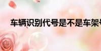 車輛識別代號是不是車架號(你知道嗎)